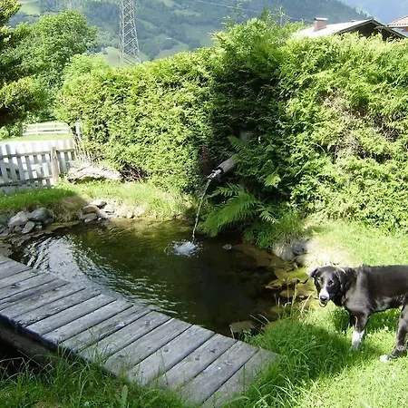 Casa Montana 3* Niedernsill