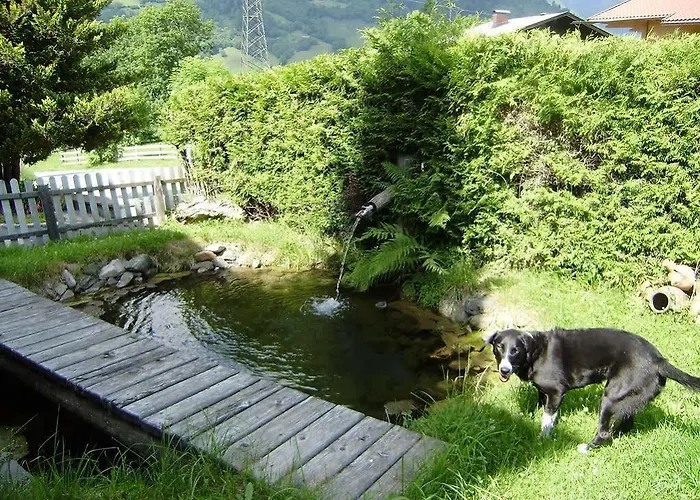 Casa Montana 3* ニーダーンジル